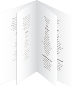 brochure-8